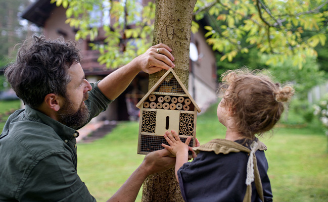 Hotel à insecte.jpg